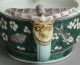 leopard cupi